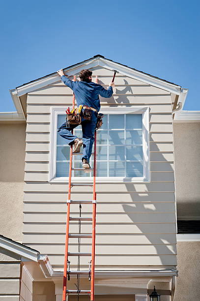 Best Insulated Siding Installation  in Palmview South, TX